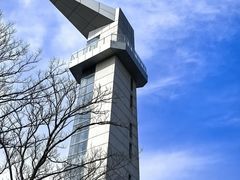 -盐城丹顶鹤湿地生态旅游区