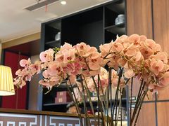 -新白鹿餐厅(松江开元地中海店)