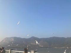 -滇池海埂公园