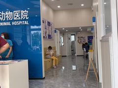 -芭比堂动物医院·CT·微创中心(新顺分院)