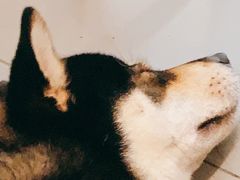 -Again Coffee Roaster(香蜜湖店)