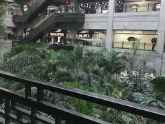 -黑龙江中医药大学附属第一医院