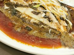 清蒸多宝鱼-徐记海鲜(陕西历史博物馆|明德门店)