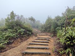 -马峦山郊野公园