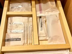 -京都全日空皇冠假日酒店