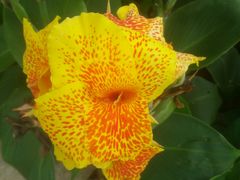 -贵阳市花溪国家城市湿地公园