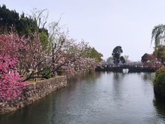 -无锡蠡湖国家湿地公园-蠡园