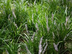 -北沙滩(地铁站)