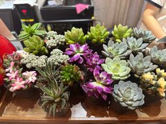 -肥朵食堂(带梦胡同店)