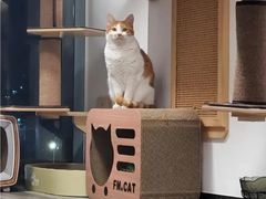 -鑫海韵通大卖场(平谷店)