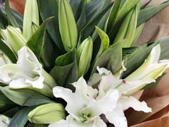 -ChaKo Flora ·茶子花艺 (市北店)