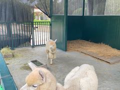 -青岛鑫江温德姆酒店