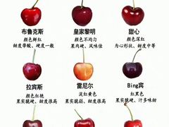 -上海龙吴水胜海发市场