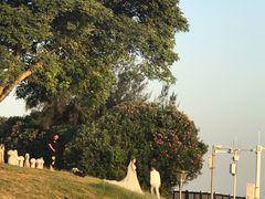 -黄金海岸环岛路