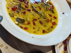 -佬肥猫(七宝宝龙店)