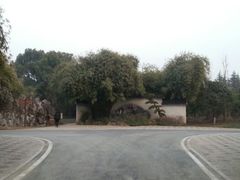 android_upload_pic-堤角公园