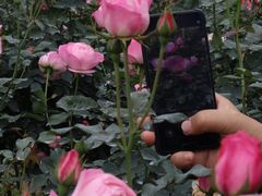 -人民公园(罗湖区)