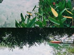 -广西大学(大学东路校区)