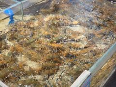 -渔傅·霞浦滩涂海鲜(建平店)