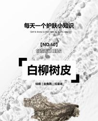 点击看大图 -玛莲朵·海菲秀冰珀科