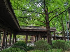 -唐城墙遗址公园