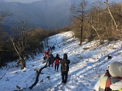 -湖州龙王山景区