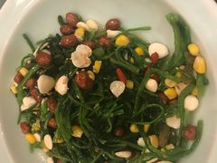 八宝有机菠菜-宝轩渔府·老字号海鲜·正宗津菜(水上店)