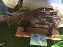 -下渚湖国家湿地公园科普馆