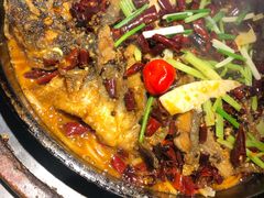 -老板恋上鱼(恒隆广场店)