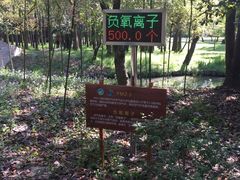 -同里国家湿地公园
