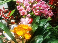 -循礼门鲜花花市(武汉循礼门店)