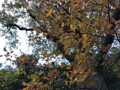 -会稽山峡洞漂流-上青古道