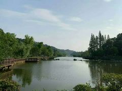 -常德桃花源景区