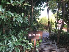 -MUSEO COFFEE咖啡博物馆