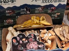 -芸山季·云南山珍菌火锅(人民广场来福士店)