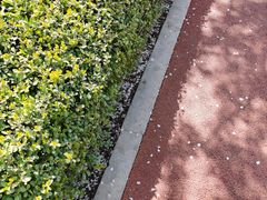 -大连植物园