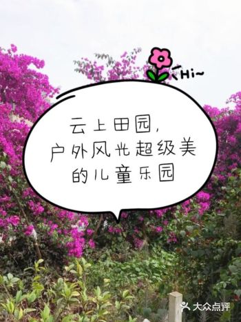 暑假生活开始,与宝宝一起度过愉快的暑假!
