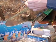 -亚马逊海鲜自助(梅溪湖步步高店)