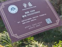 -绮园景区