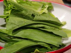 -彤德莱(奥林店)