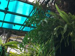 -自然餐厅(Phuket)