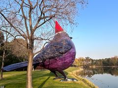 -养云安缦吧THE BAR