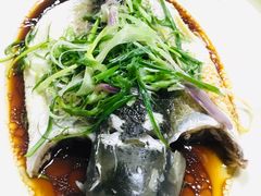 清蒸泉水鲩鱼-成惠食府(赤岗店)