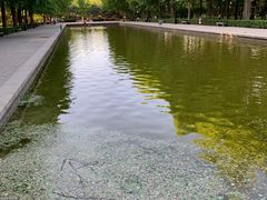 -玲珑塔公园