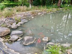 -苏州河梦清园环保主题公园