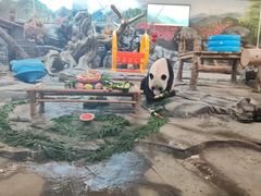 -武汉动物园