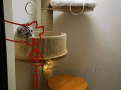 -奈诺甜品·生日蛋糕·下午茶(古城店)