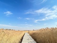 -野鸭湖国家湿地公园