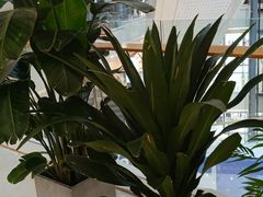 -阳光世纪奥特莱斯店