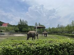 -哈尔滨北方森林动物园